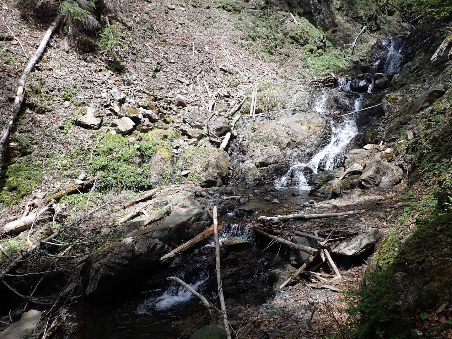 笊ヶ岳登山口-笊ヶ岳 往復コースの写真