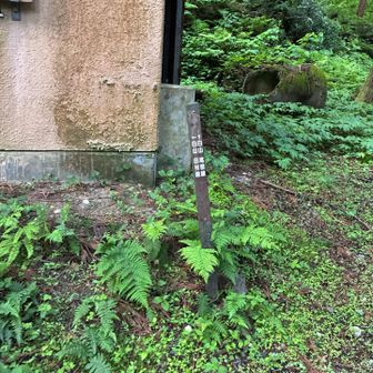尾根線へ
右に進む