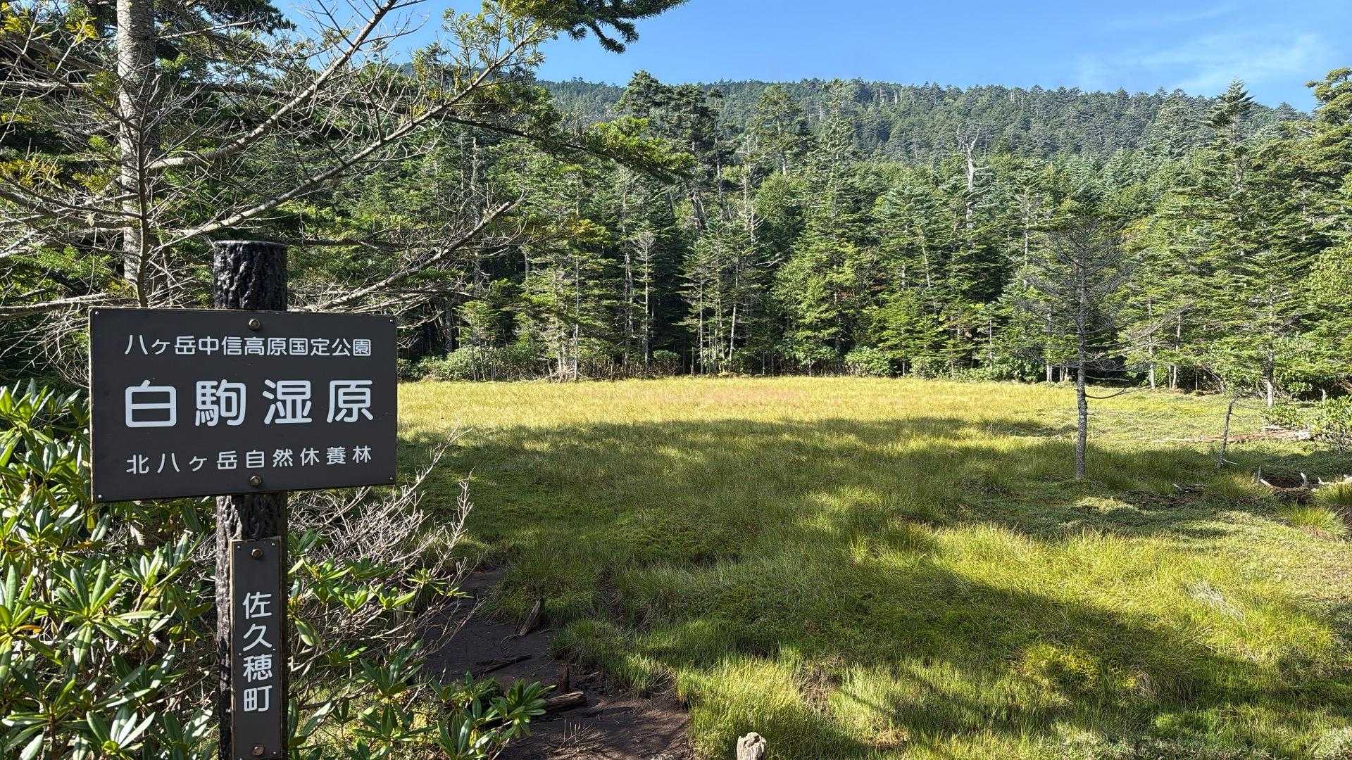 ニュウ・中山周回 | 幽玄な原生林と神秘の池から小さな岩峰を越え、天狗岳の絶景への写真