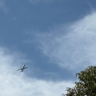 飛行機が来たー✈️