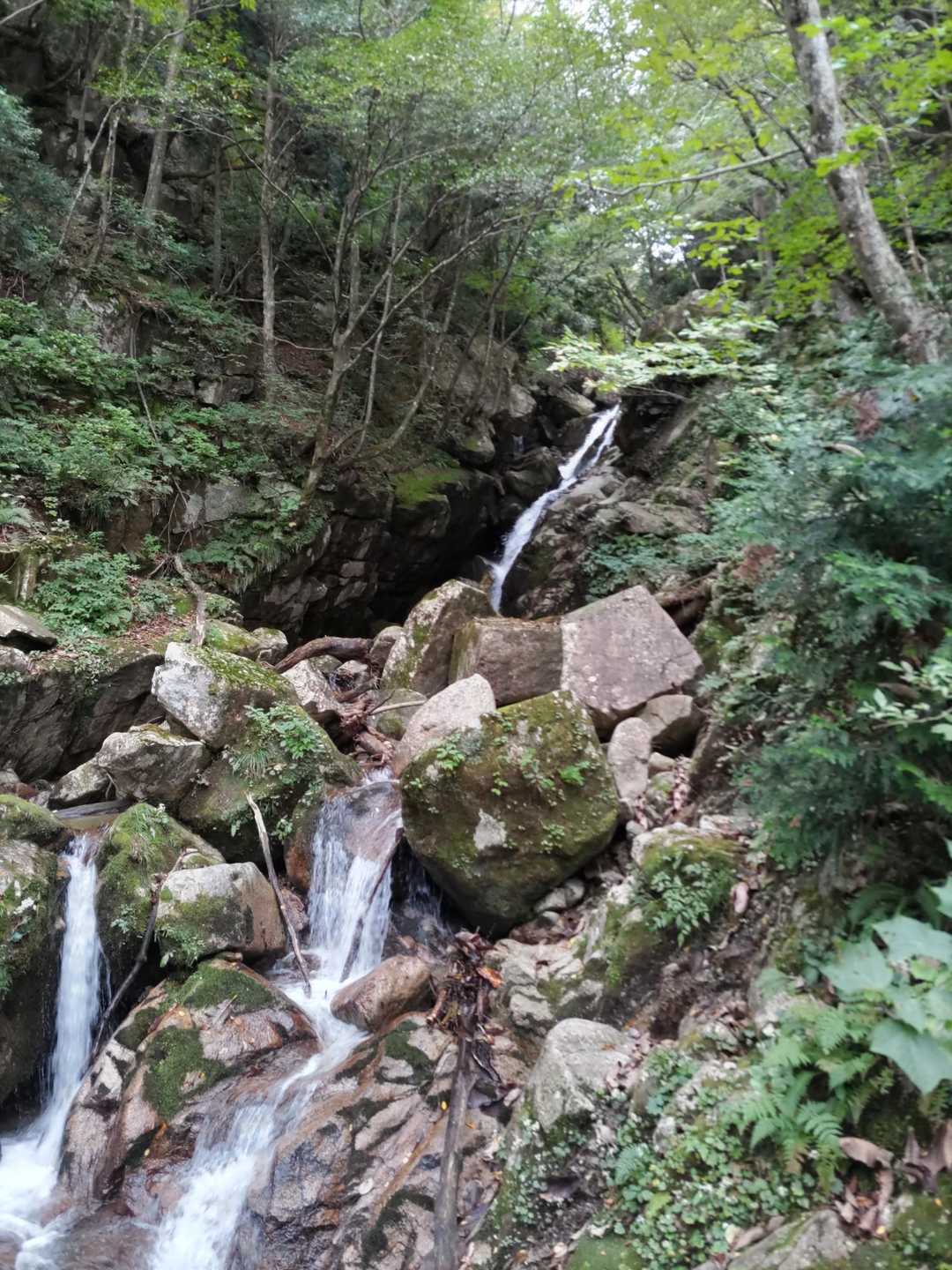 武奈ヶ岳-細川越 周回コースの写真