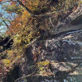 中岳に向かう途中、ロープを使ってのトラバースや、足場の悪い箇所多数あり⚠️