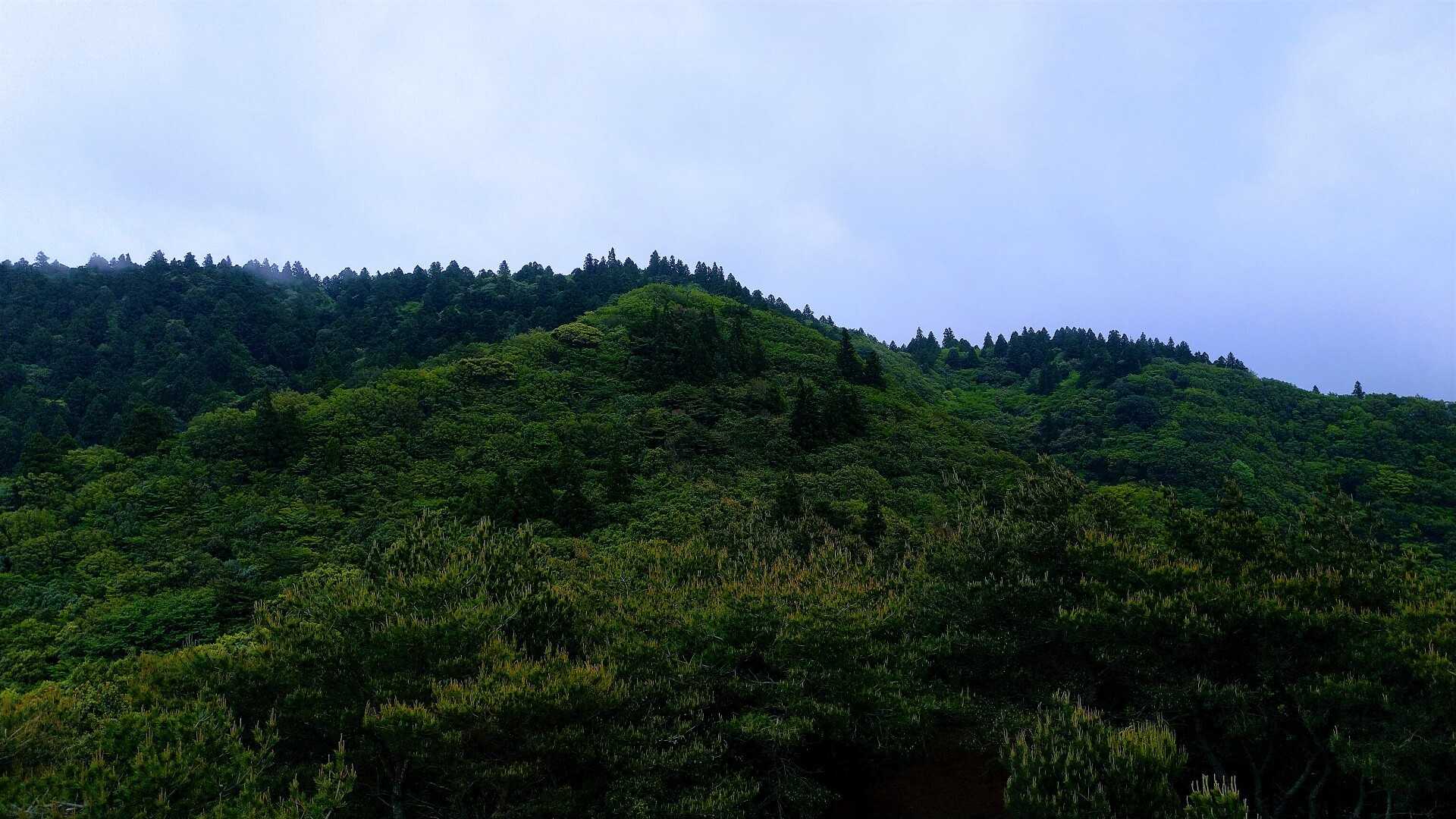 柏原山（兵庫県）の写真