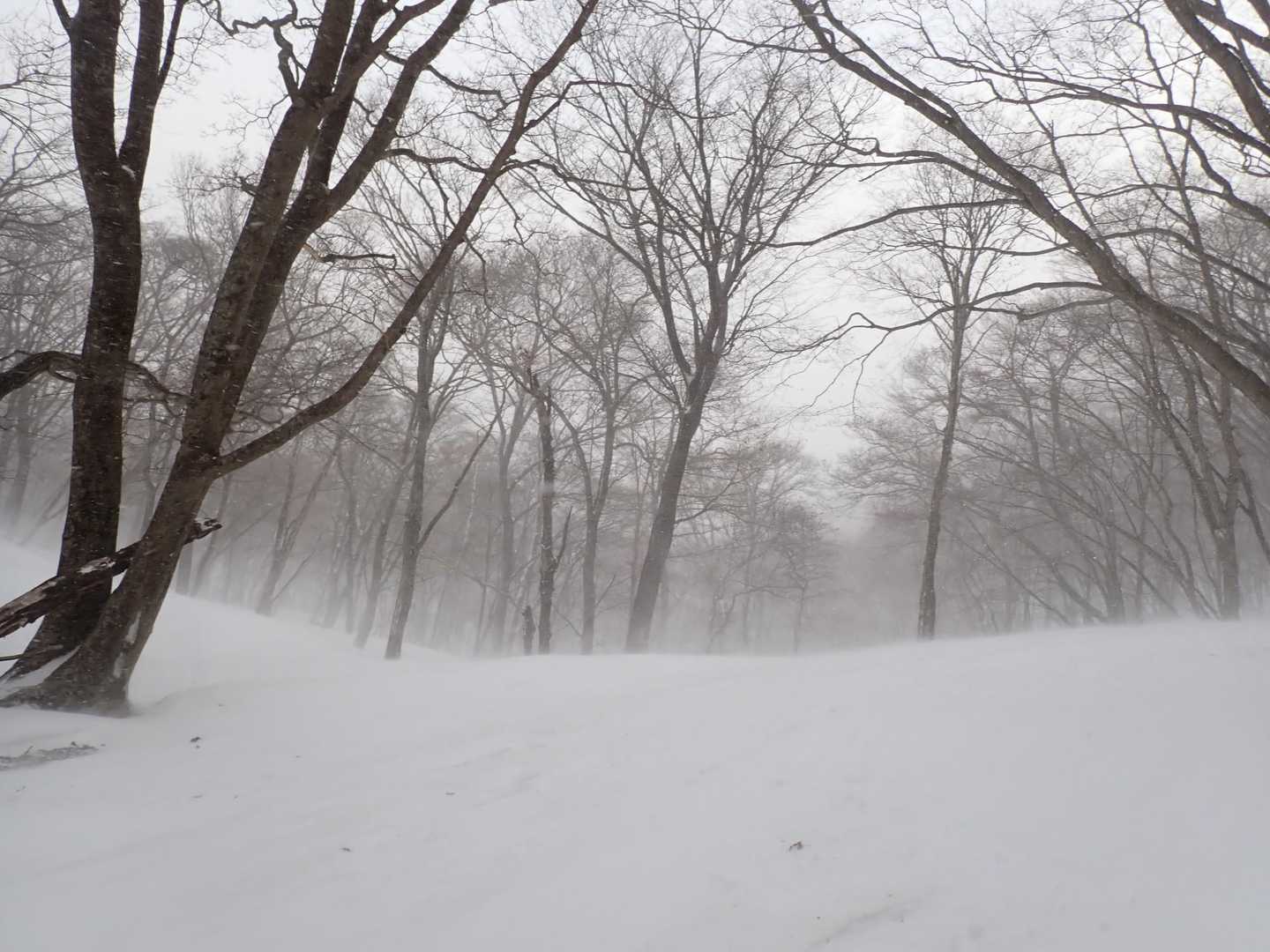 風雪が強まり撤退　気温－4℃