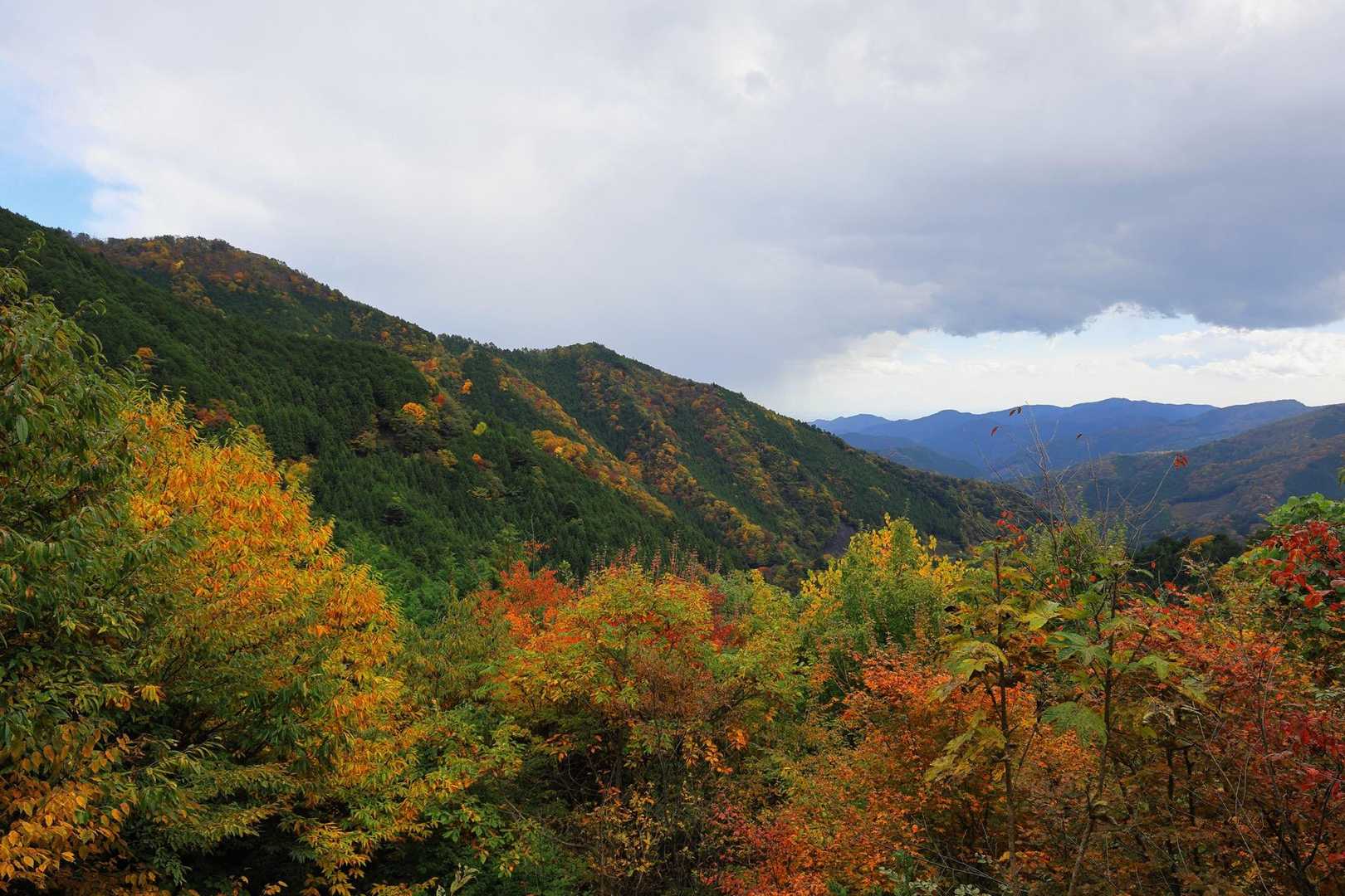 森林館-大滝休憩小屋-ムシカリ峠-三頭山-三頭山-三頭山- 周回コースの写真