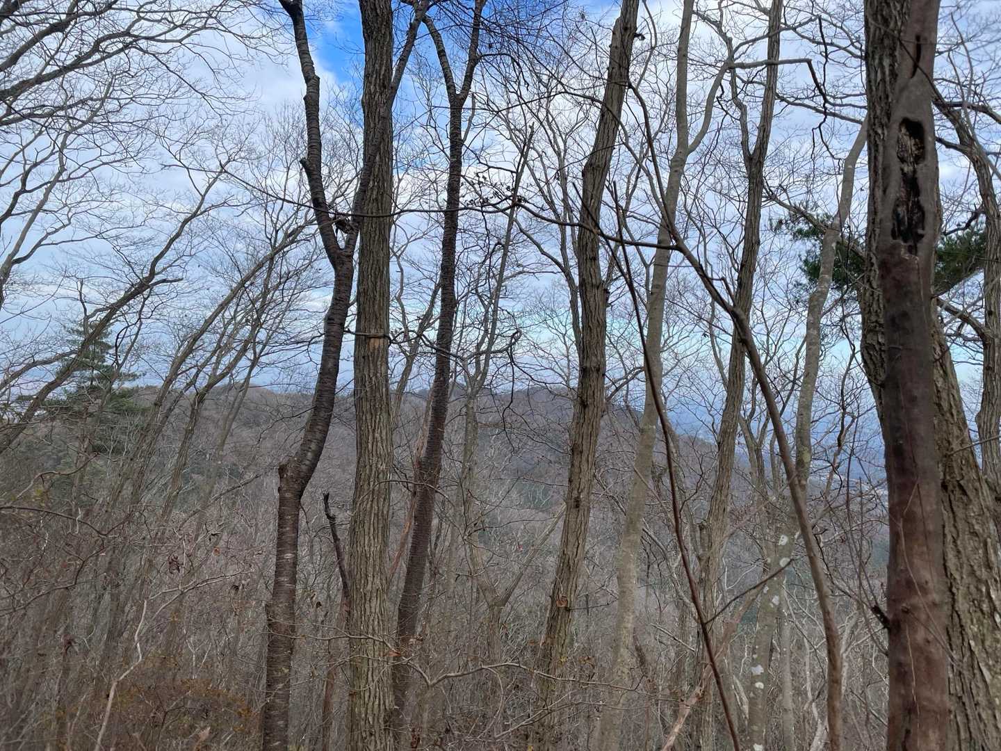 登ってきた御嶽山や足尾山やろな😮‍💨