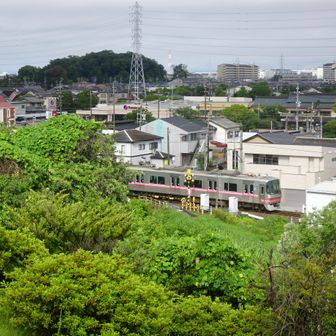 後の森が最終目的地