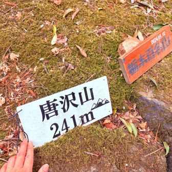 山頂👍
山登りに来たんだった😅