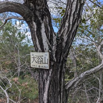 大谷山頂に到着
