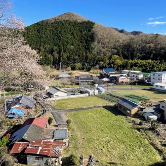 美しい集落
美しい花
そして端正な形の松田富士が鮮やかで、なんだか誇らしげ😁