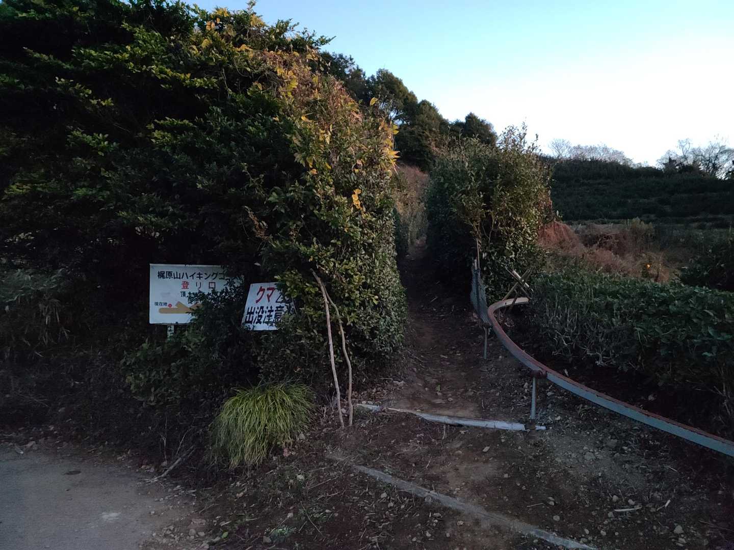 ここから登山道