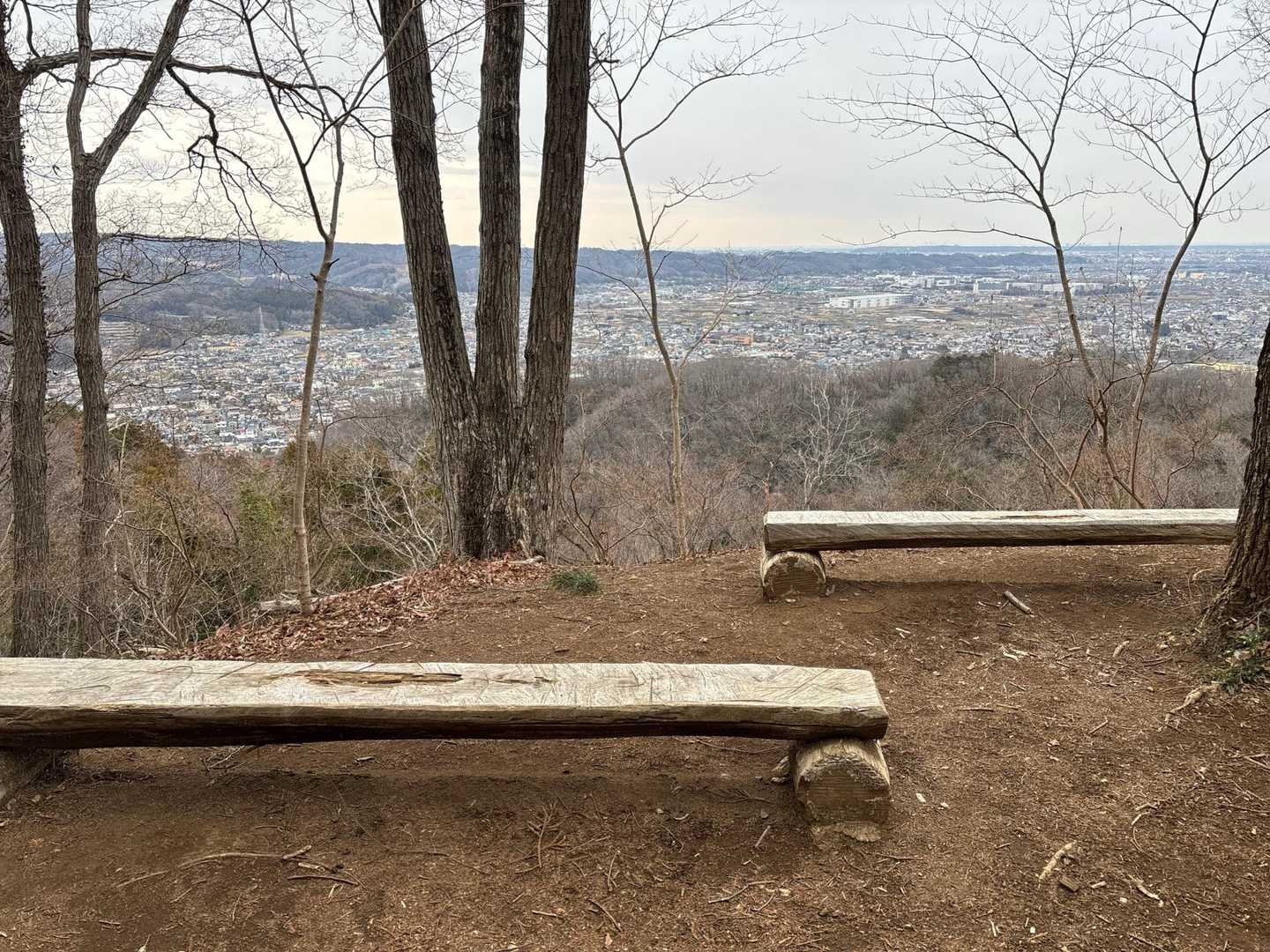 山頂からの眺め