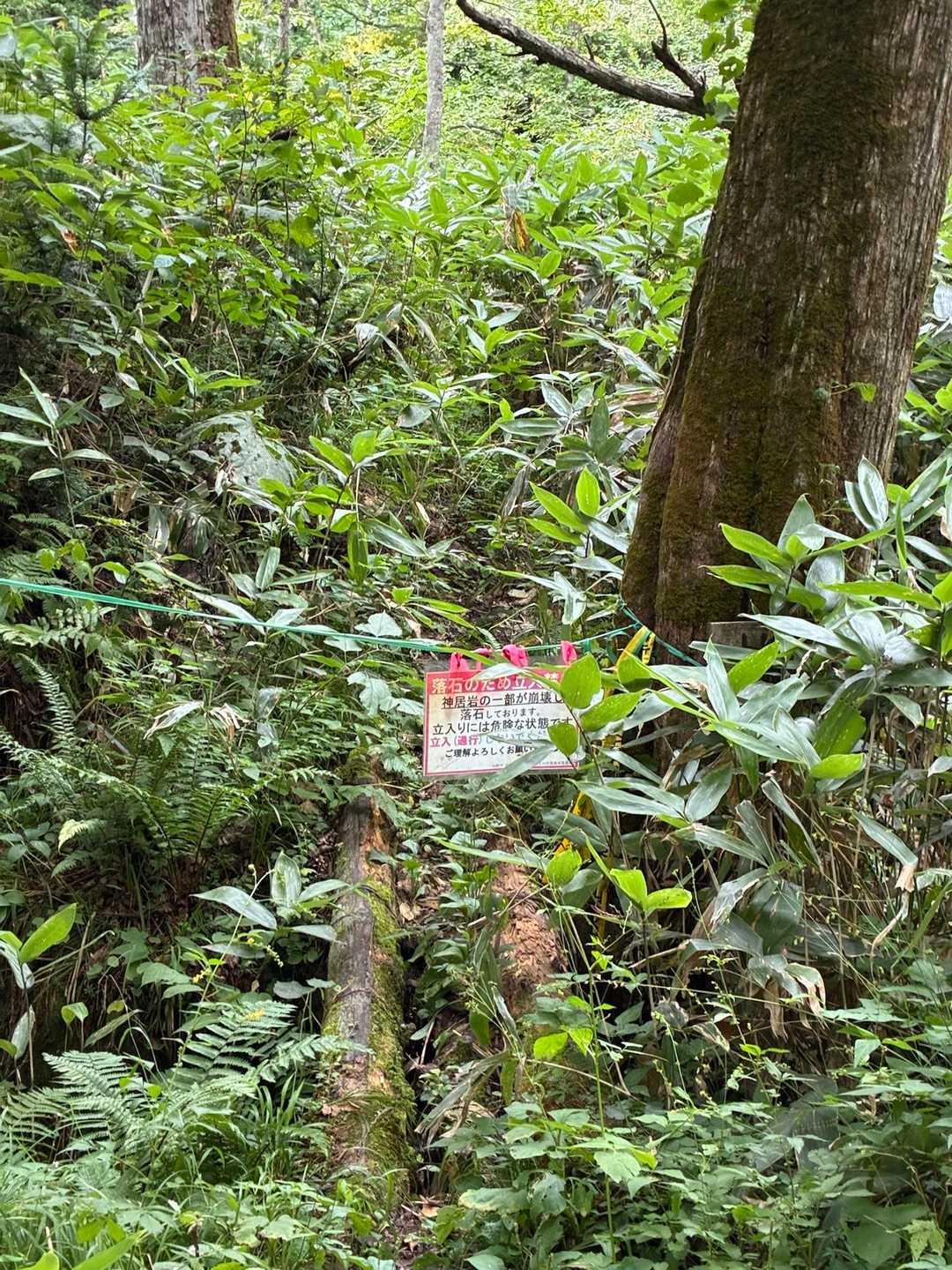 神居岩 往復コースの写真