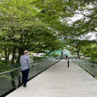 隣りのニャンコ🐈‍⬛