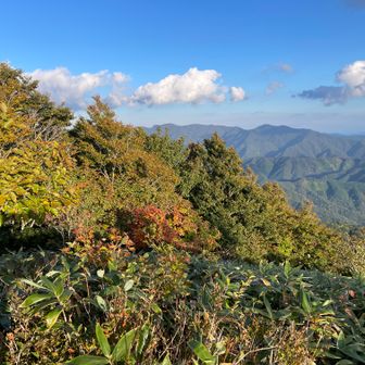 紅葉が始まっています