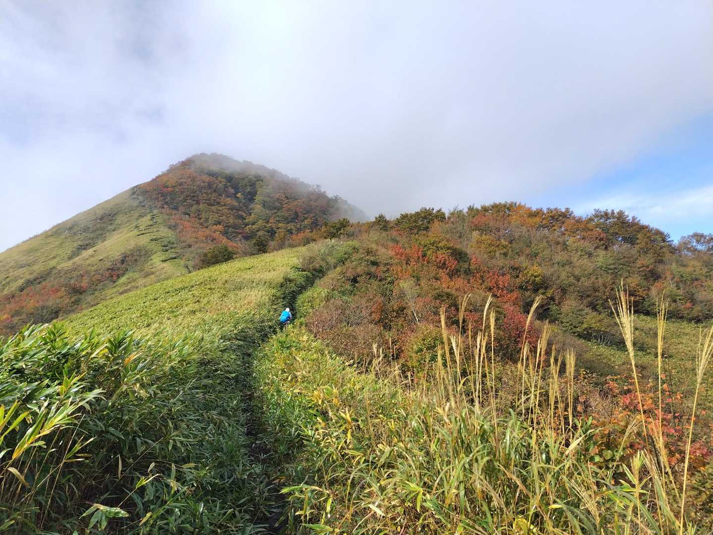 紅葉🍁素晴らしい