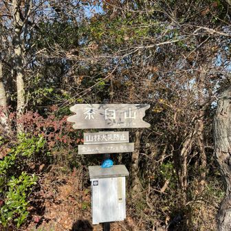 ニャンダルムの天使も見たし 茶臼山⛰️もゲットした。
登山計画の残り三座どーする⁉️

