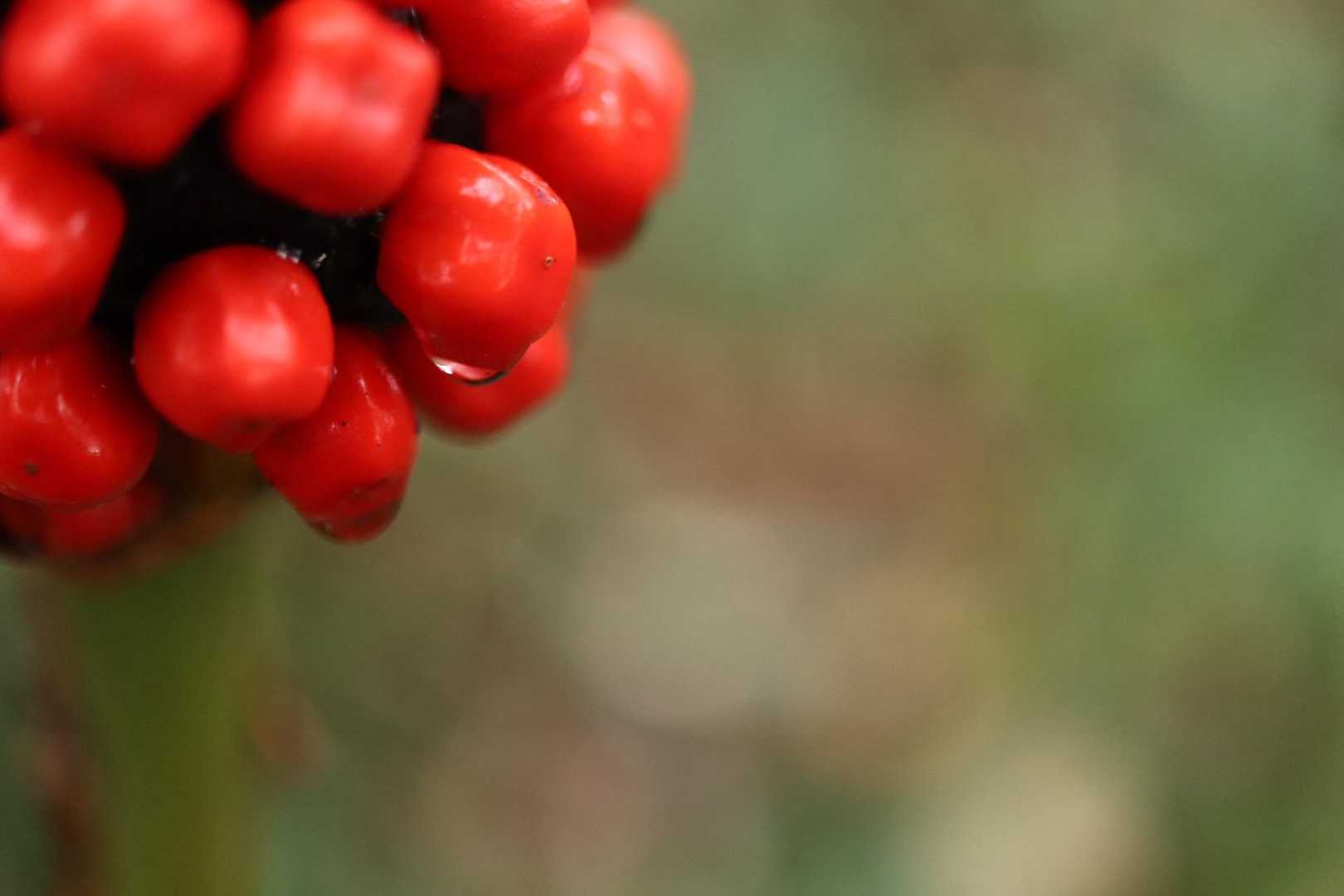 ツヤツヤ✨