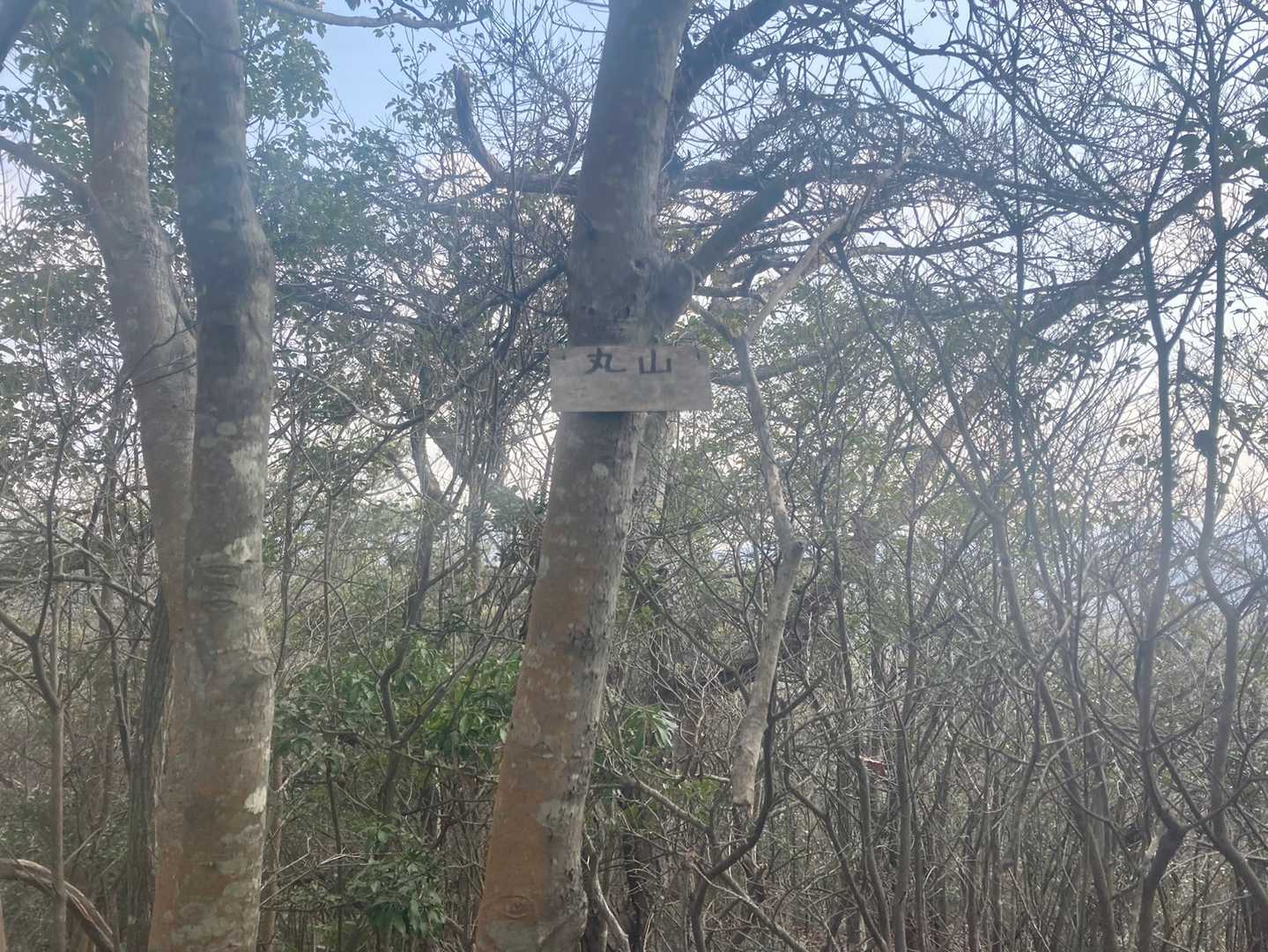丸山に到着！