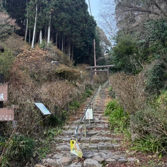 あじさい坂からスタートします
イノシシが出没する事で有名な坂ですが
今日は居ませんでした😅