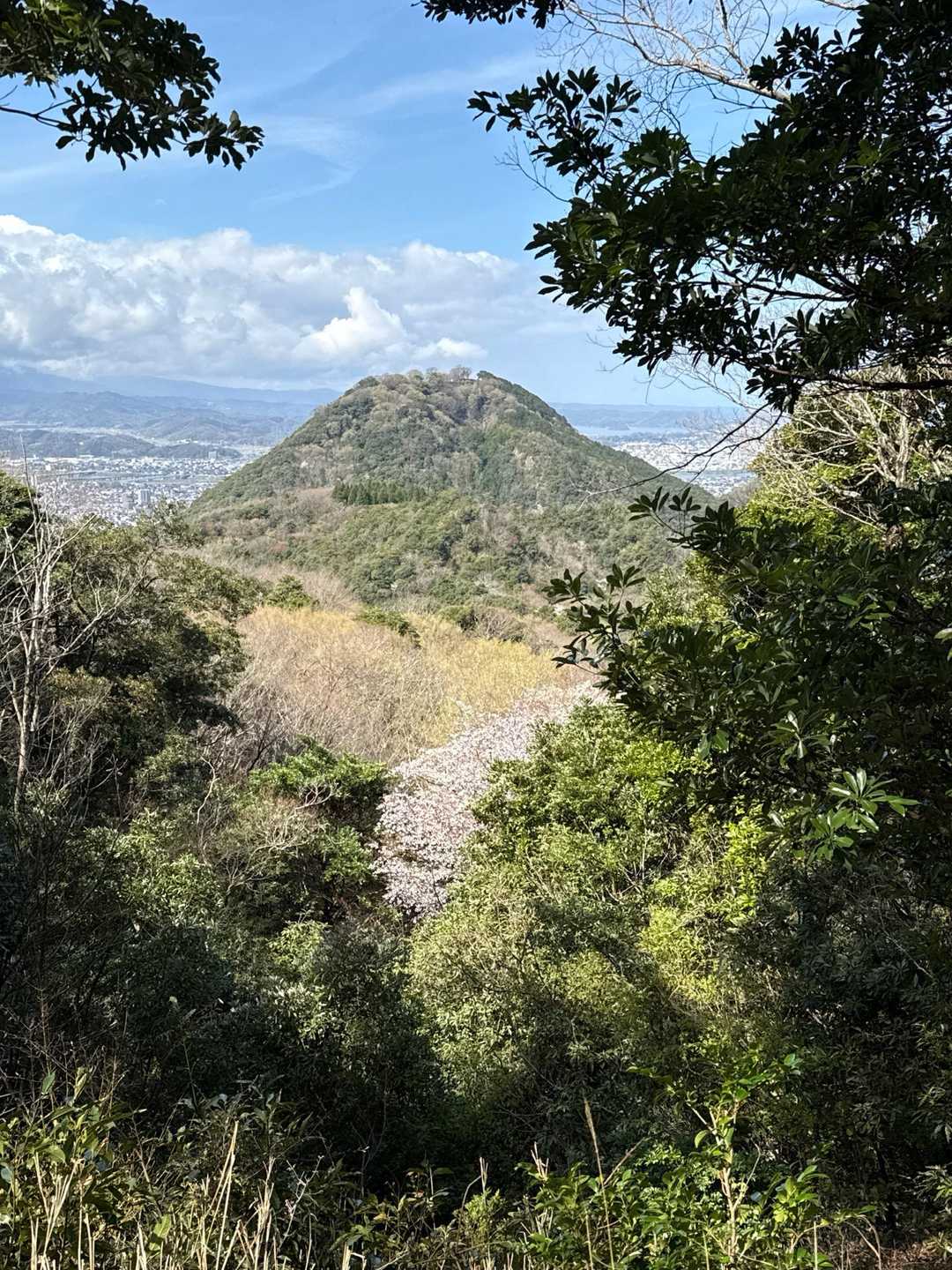 あちらから来ました