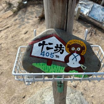 たぬきさん、健在ですが‥
十二坊の大きい山頂標識を支える支柱を修理中らしく、恐らく標識も。この場にはありませんでした。
たぬきさんは撮影後、下に下ろします。
木にヒビが入ってますので。