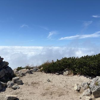 おにぎり食べながら雲海見てます。