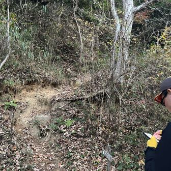 いきなりの急登