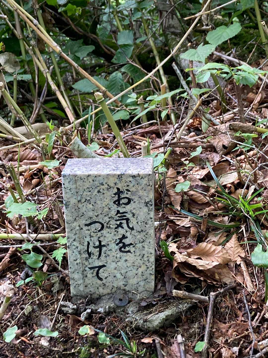 行きには気づかなかったけど帰りに目に入ったお気をつけての文字…

安全登山には…体調もしっかり整えることが大事(๑•̀ㅂ•́)و✧と自分に言い聞かせて♪