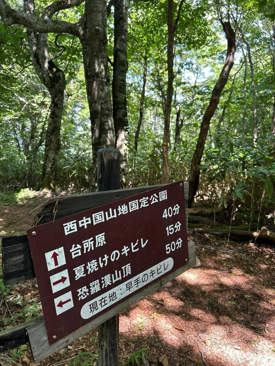分岐