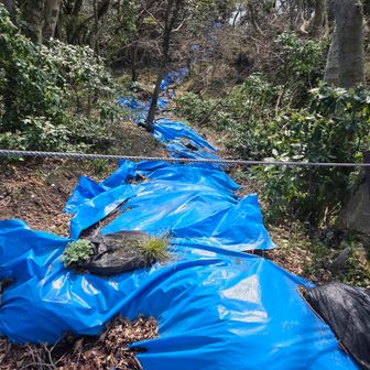 灯台近くの登山道、崩壊しています。