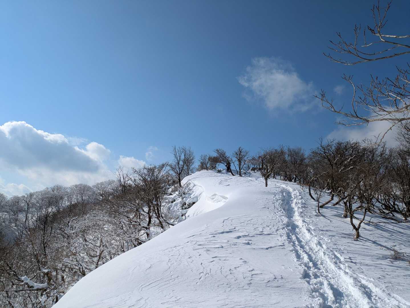 気持ちいいなー
