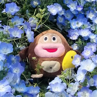 やまたか