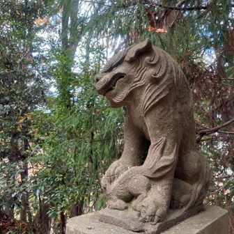 狛犬、耳が特徴的で。