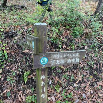 ここは関東ふれあいの道らしい。調べたら神奈川県9番と15番が通っているらしい。登山道と少し違うので難しい😓