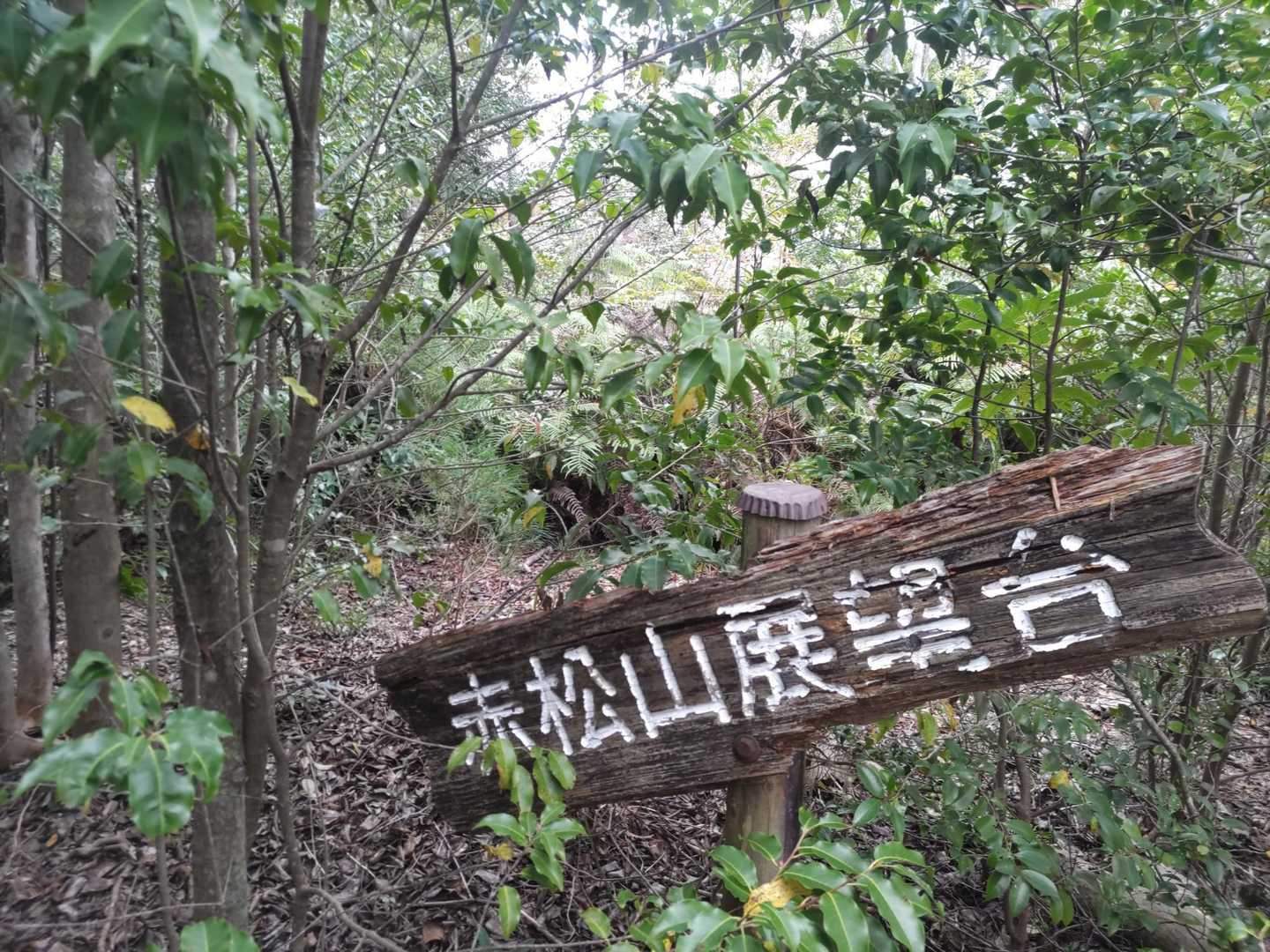 赤松山展望台。何も見えず撤退。