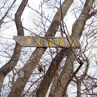 登り切ると、「本山まであと30m」はほぼ水平