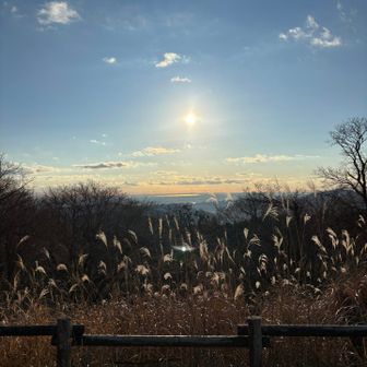 輝いてますね☺️