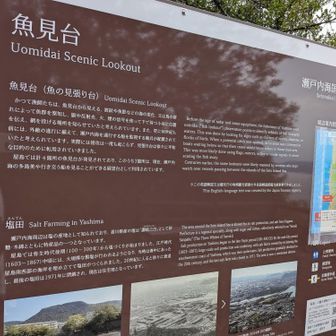 こっから魚群が見えるってマ？