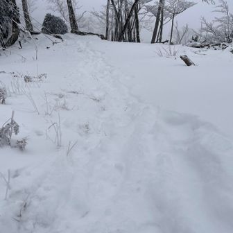 今ははっきりしている踏み跡も
しばらくすると風の影響か、埋もれて消えてしまう