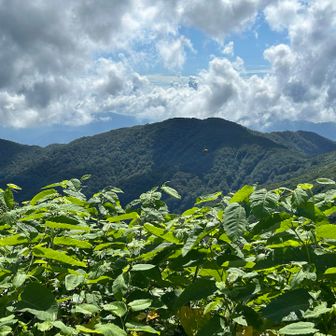 鳥原山
