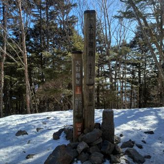 大菩薩嶺山頂
眺望ありません。