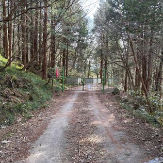 登山口を過ぎレバ林道
