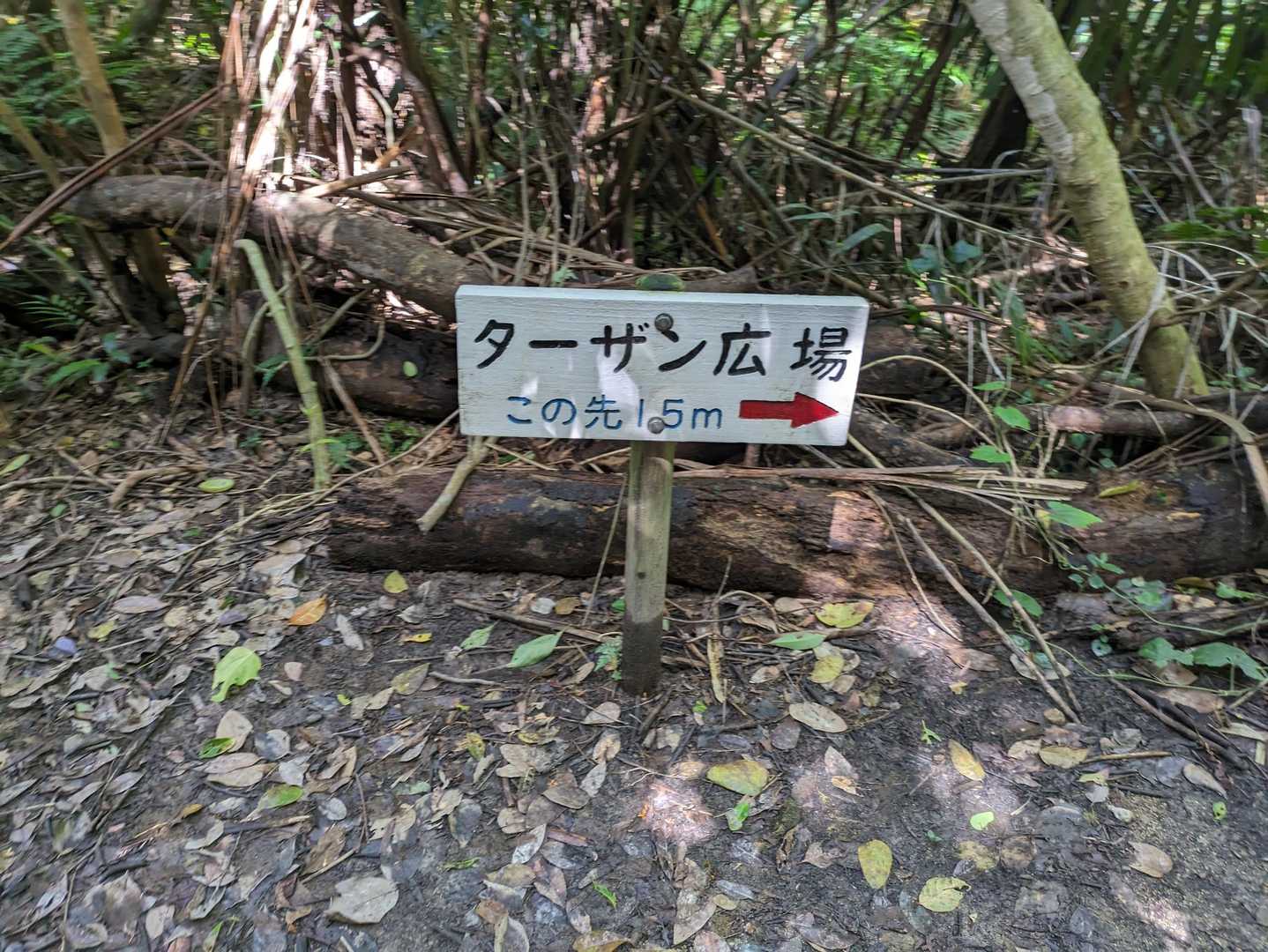 ターザン広場もうすぐ