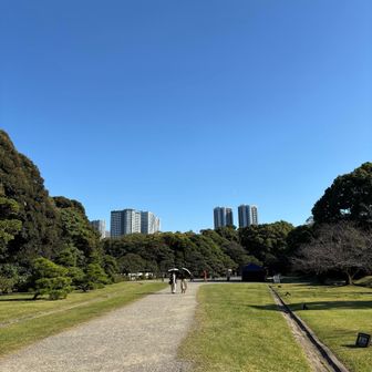 のんびり、ぶらぶらと散歩