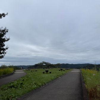 地元の方に愛されていそうなとてもいい公園です🛝