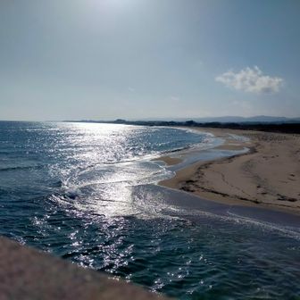 キラキラ海が見える🤩
右奥に何かいる🫡