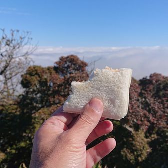 昼食は、賞味期限切れのランチパック❗
パサパサでも雲海を見ながらなら……美味しいか？