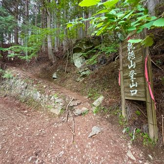 登山口は分かりやすい