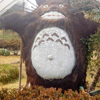 トトロみたくて坂を登りました
駐車場近くのレストランまうむ🍴にあります